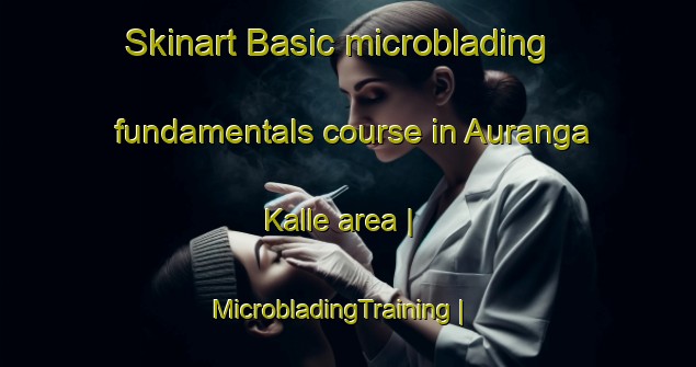 Skinart Basic microblading fundamentals course in Auranga Kalle area | MicrobladingTraining | MicrobladingClasses | SkinartTraining-Pakistan